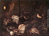 Still-Life with Insects and Amphibians by Otto Marseus Van Schrieck